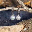 Pair of Sterling Silver 8-8.5mm Akoya pearls on huggies - Masterpiece Jewellery Opal & Gems Sydney Australia | Online Shop