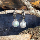 Pair of Sterling Silver 8-8.5mm Akoya pearls on huggies - Masterpiece Jewellery Opal & Gems Sydney Australia | Online Shop