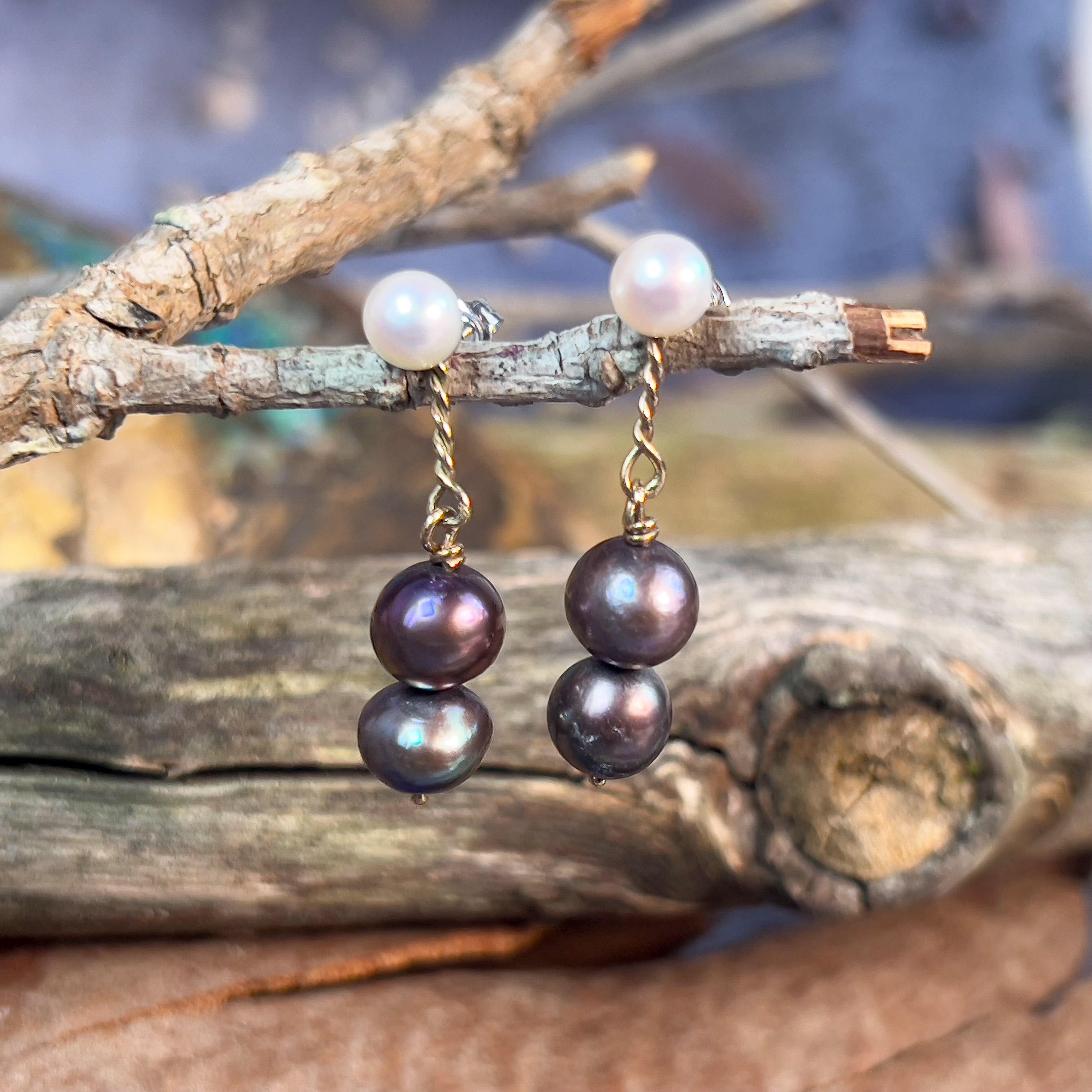 Tahitian pearl drop earrings , Tahitian pearl , Tahitian pearl earrings , Tahitian pearl jewelry , outlet Tahitian pearl jewelry hawaii