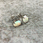 Sterling Silver 7x5mm White Opal claw studs - Masterpiece Jewellery Opal & Gems Sydney Australia | Online Shop