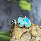 Sterling Silver 8x5mm Pearshape White Opal studs - Masterpiece Jewellery Opal & Gems Sydney Australia | Online Shop