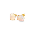 9kt Yellow Gold studs set with two 10x8mm Light Opals claw set 3ct - Masterpiece Jewellery Opal & Gems Sydney Australia | Online Shop